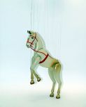 Circus Horse
