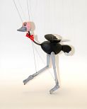 Ostrich