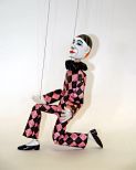 Harlequin