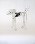 Skeleton Dog